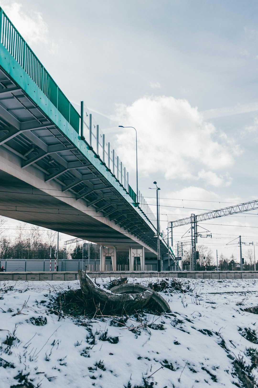 Maintenance Challenges for Aging Portal Bridges